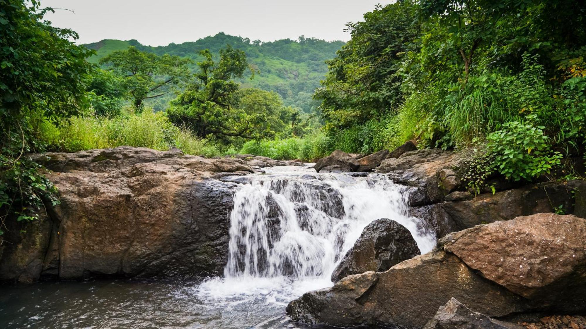 Whispering Peepul Resort Badlapur Extérieur photo