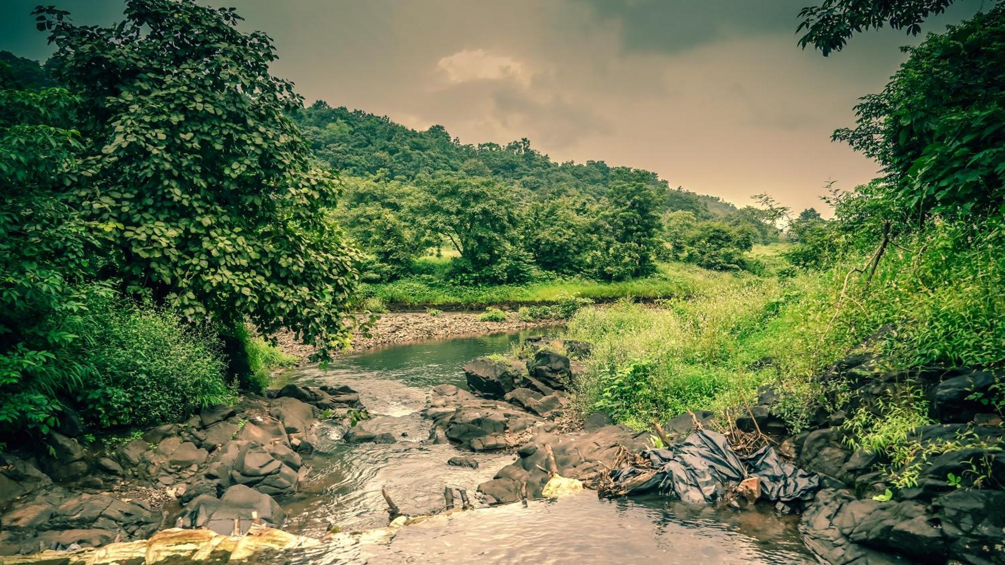 Whispering Peepul Resort Badlapur Extérieur photo