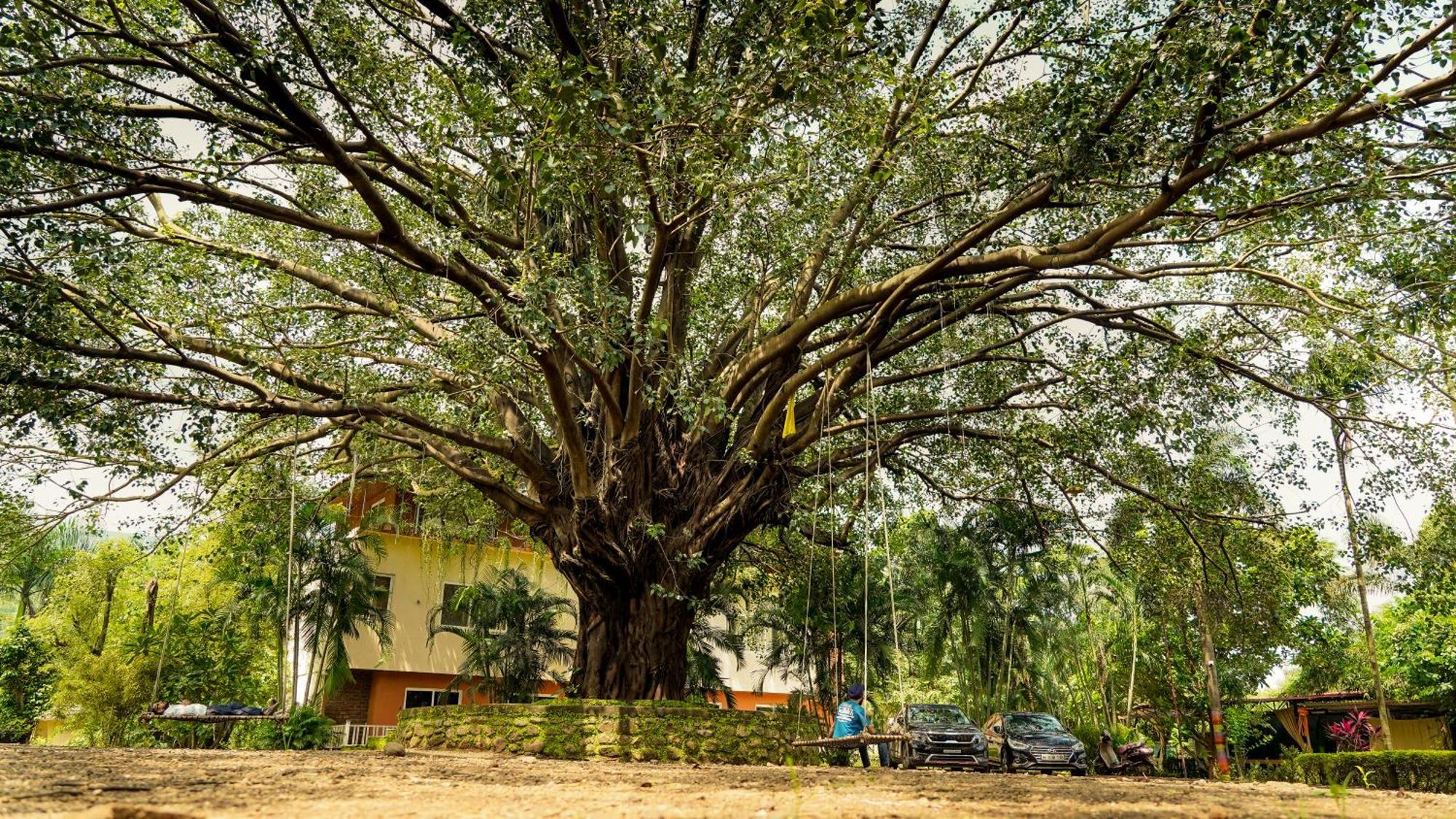Whispering Peepul Resort Badlapur Extérieur photo