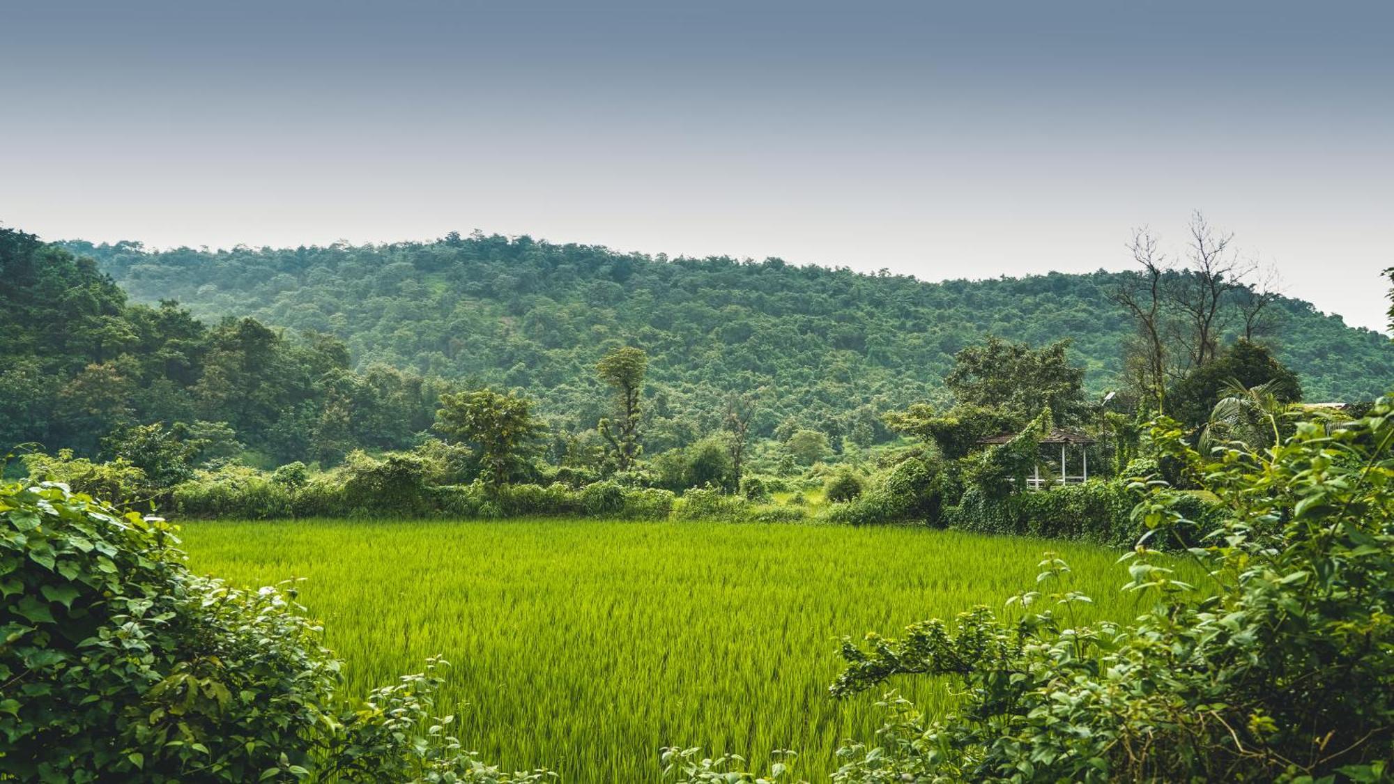 Whispering Peepul Resort Badlapur Extérieur photo